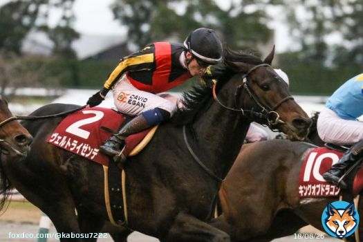 日経新春杯 ヴェルトライゼンデ　D.イーガン騎手  トップハンデを跳ねのける強さ....さすがでした....