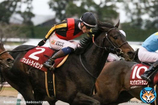 日経新春杯 ヴェルトライゼンデ　D.イーガン騎手  トップハンデを跳ねのける強さ....さすがでした....