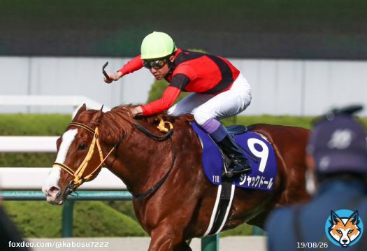 ジャックドール　武豊騎手