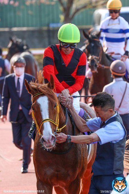 大阪杯 ジャックドール　武豊騎手  遂に掴んだG1タイトル！！ おめでとうございます！！！！！！