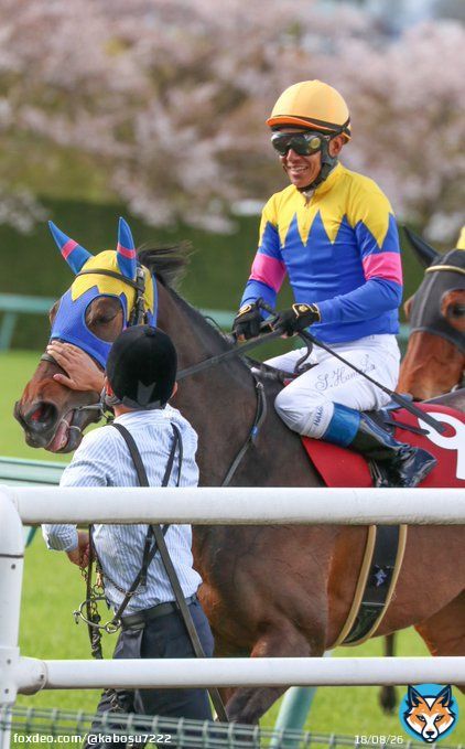 阪神牝馬ステークス サウンドビバーチェ　浜中俊騎手  初重賞制覇！！！ おめでとうございます！！！！