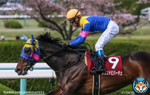 阪神牝馬ステークス サウンドビバーチェ　浜中俊騎手