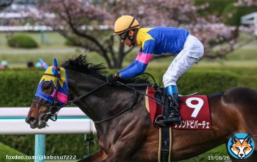 阪神牝馬ステークス サウンドビバーチェ　浜中俊騎手