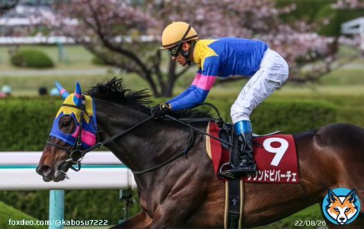 阪神牝馬ステークス サウンドビバーチェ　浜中俊騎手