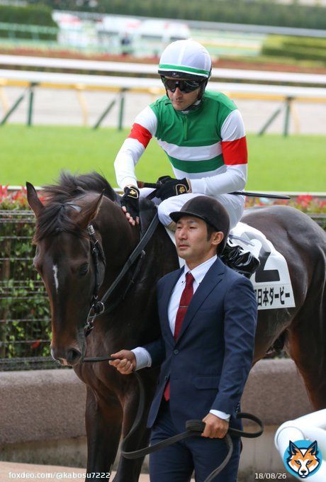 本馬場入場のときにルメールJにポンポンされていたスキルヴィング。  安らかに
