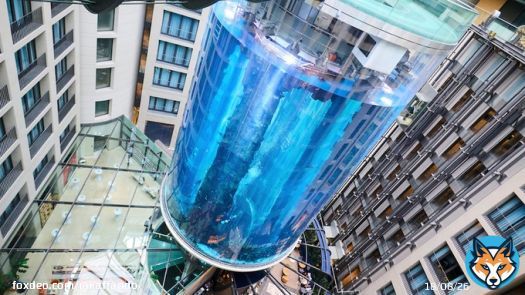 Am I the only person who thinks having a huge aquarium in a hotel foyer with 1500 now dead fish is incredibly stupid? #berlinaquarium
