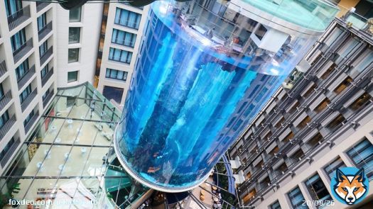 Am I the only person who thinks having a huge aquarium in a hotel foyer with 1500 now dead fish is incredibly stupid? #berlinaquarium