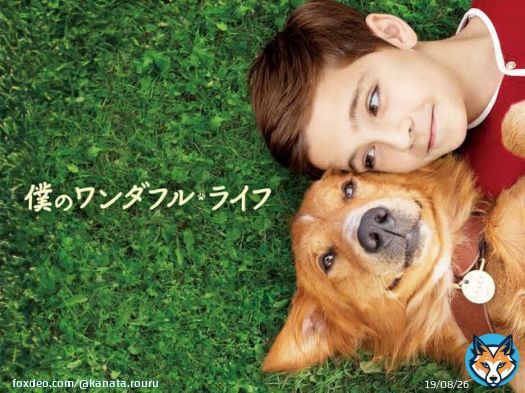 \u2465映画｢僕のワンダフルライフ｣ 犬好きな人もそうでない人もオススメの映画！ 毎年観てるんだけど必ず3回は泣くシーンがあります ベラのワンダフルホームやらワンダフルジャーニーやらあるけどこれが原点にして頂点だと思ってる