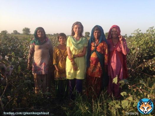 It&rsquo;s Haryana day so putting up a photo from 2014 in my mother&rsquo;s village near Hisar, in the cotton fields. Traditionally, only women are supposed to pick cotton from the pods. #HaryanaDay #Cotton #Agriculture