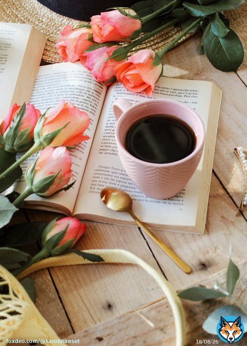 good morning friends #writerslift #WritingCommunity #BookTwitter #writersoftwitter #AuthorsOfTwitter #BookRecommendations #Shameless Self-Promotion Happy Tuesday #books #websites #blogs #poetry #artwork #WIP #linksLet's read, write, reciprocate and rreflect