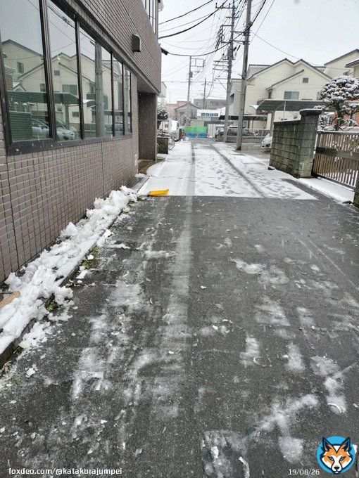 いったん、近くの道路、雪かき完了 しかし、まだまだ積もりそう。少し休憩して他の道路も見てこよう。汗ビッショリ。 #さいたま市 #雪かき #大雪警報 #北区 #根本から折れた
