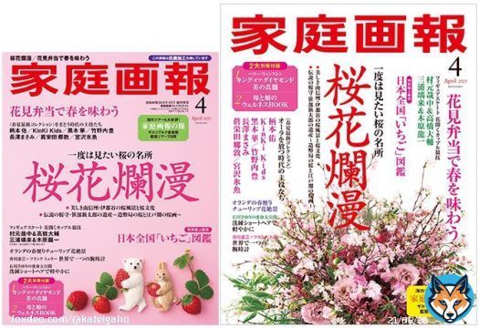 本日は関西・東海・四国地区での『家庭画報』4月号の発売日です 特集は「桜花爛漫」「日本フィギュアスケート  今、花開くカップル競技」「オーラを放つ時代の主役たち」ほか。 #高橋大輔 #村元哉中 #三浦璃来 #木原龍一 #柄本佑 #KinKiKids #黒木華 #竹野内豊 #長澤まさみ #眞栄田郷敦 #宮沢氷魚
