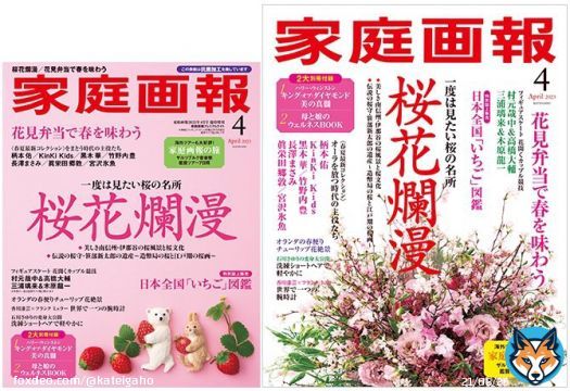 本日は関西・東海・四国地区での『家庭画報』4月号の発売日です 特集は「桜花爛漫」「日本フィギュアスケート  今、花開くカップル競技」「オーラを放つ時代の主役たち」ほか。 #高橋大輔 #村元哉中 #三浦璃来 #木原龍一 #柄本佑 #KinKiKids #黒木華 #竹野内豊 #長澤まさみ #眞栄田郷敦 #宮沢氷魚