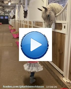 Best time of the day \ud83d\udc97 Feeding time at Sweden Arabian Stud together with Ofelia (But i think Serina had hope for a carrot \ud83e\udd55\ud83d\ude05)