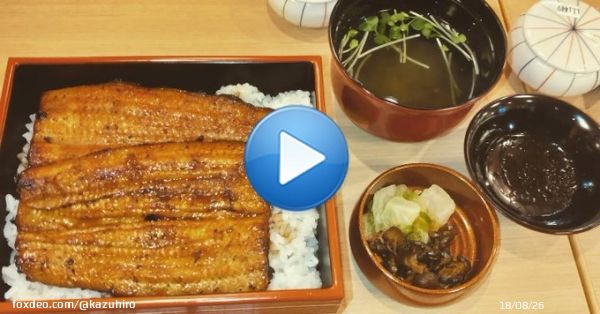 あけましておめでとうございます。初詣の成田山新勝寺。旨い鰻重食べたし、おみくじは吉。ことしもマイペースでいこうか。#あけましておめでとうございます#成田山#成田山新勝寺#成田山新勝寺表参道#鰻#鰻重#国産#元日#初詣