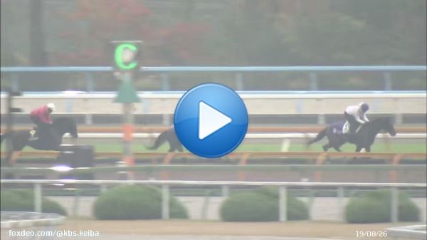 【#京都2歳ステークス 】 兄姉に3頭のGⅠ馬がいる超良血馬#グランヴィノス 新馬戦では単勝1.3倍の人気に応え快勝 同舞台で勝って来年のクラシック候補に名乗りをあげるか注目 最終追い切りでは重賞馬2頭の間を割って終始手応え優勢 友道師は「勝ってゆったりしたローテで使いたいね」と期待を寄せた