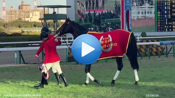 【無敗でのＧＩ制覇】 #朝日杯フューチュリティステークス は #ドルチェモア が勝利　 抜群のスタートから控えて直線で抜け出すと #ダノンタッチダウン の猛追を凌ぎました レース直後のドルチェモア カメラに目線を送る姿からは風格すら感じます