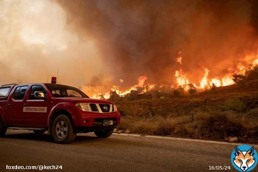 المغرب يسجل قرابة 400 حريق في عشرة أشهر
