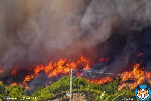 حريق غابة “إيكاون” بالحسيمة يأتي على 8 هكتارات