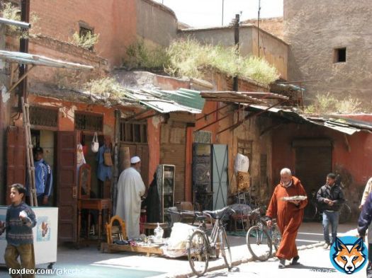 فقدان 297 ألف منصب شغل ما بين الفصلين الثالث من 2022 و2023