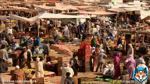 المتابعون في أحداث السوق الأسبوعي لـ&rdquo;رباط الخير&rdquo; يواجهون تهمة &ldquo;العصيان&rdquo;