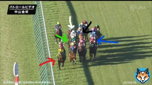 中山金杯 1着黒ラーグルフ 2着緑クリノプレミアム 3着赤フェーングロッテン 4着青アラタ 5着白マテンロウレオ  Cコース変わり週平均ペース内有利。白マテンロウが欲しかったのは緑クリノプレミアムのポジ。  この並びはクリノが動かないとマテンロウが動けない。このポジは逆の予想だった。これが全て
