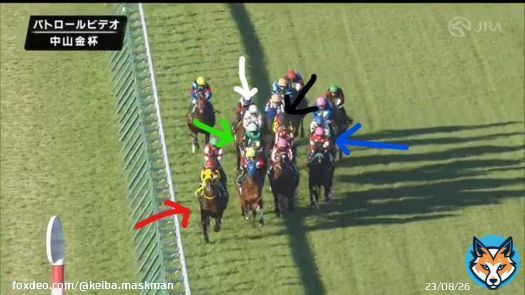 中山金杯 1着黒ラーグルフ 2着緑クリノプレミアム 3着赤フェーングロッテン 4着青アラタ 5着白マテンロウレオ  Cコース変わり週平均ペース内有利。白マテンロウが欲しかったのは緑クリノプレミアムのポジ。  この並びはクリノが動かないとマテンロウが動けない。このポジは逆の予想だった。これが全て