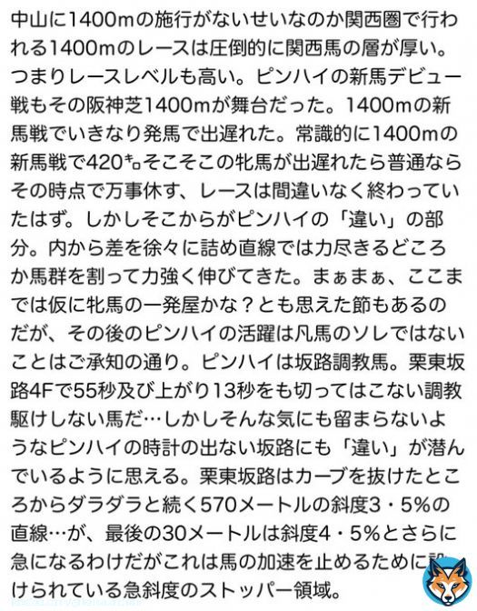 『東京新聞杯の考察\u25b7その\u2463』 小さな強心臓『ピンハイ』を語る