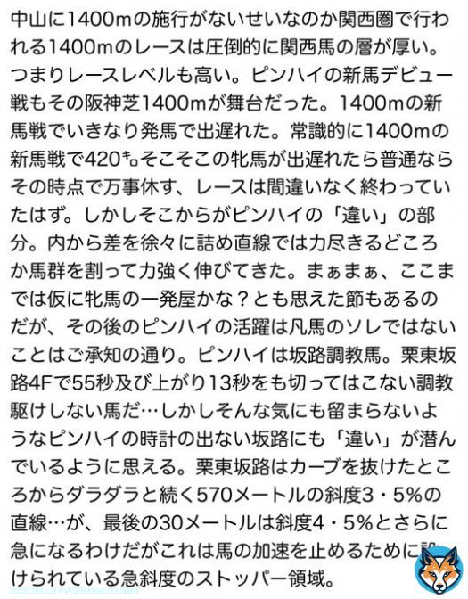 『東京新聞杯の考察\u25b7その\u2463』 小さな強心臓『ピンハイ』を語る