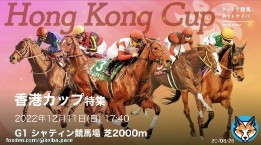 12/11 香港7R ［香港C］【A】  フォロー&リツイートで無料です \u25ce香港でも強さ見せつけてほしい  香港スプリント \u25ce1.ウェリントン（5.0倍） 阪神JF \u25ce13.ドゥアイズ（44.5倍）  #BOOKERS