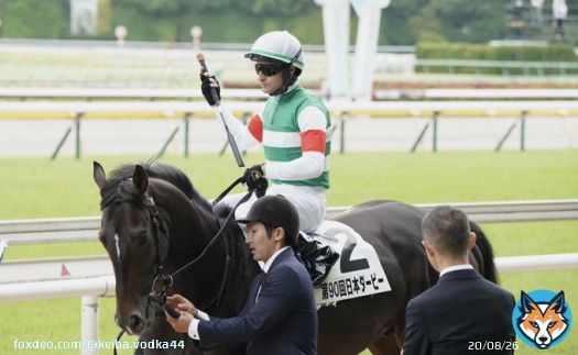 特別な日だけど、いつものように愛馬を見送る担当さん、木村調教師。彼を信じてレースに挑むCルメール騎手。  ふと撮った写真が今では涙に暮れる。  別れはあまりにも突然で。鞍上を振り落とす事なく彼は最後まで本当に頑張った。  どうか、どうか痛みのない苦しみのない自由な空へ。  #スキルヴィング
