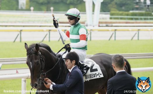 特別な日だけど、いつものように愛馬を見送る担当さん、木村調教師。彼を信じてレースに挑むCルメール騎手。  ふと撮った写真が今では涙に暮れる。  別れはあまりにも突然で。鞍上を振り落とす事なく彼は最後まで本当に頑張った。  どうか、どうか痛みのない苦しみのない自由な空へ。  #スキルヴィング