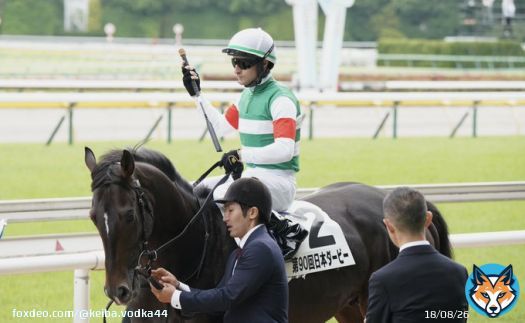 特別な日だけど、いつものように愛馬を見送る担当さん、木村調教師。彼を信じてレースに挑むCルメール騎手。  ふと撮った写真が今では涙に暮れる。  別れはあまりにも突然で。鞍上を振り落とす事なく彼は最後まで本当に頑張った。  どうか、どうか痛みのない苦しみのない自由な空へ。  #スキルヴィング