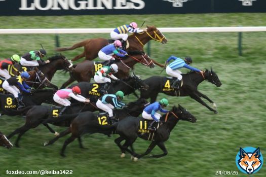 【東京11RキャピタルS 3歳以上オープンL 芝1600ｍ】 1着\u2463ララクリスティーヌ（菅原明） 2着\u246aトリプルエース 3着\u2470ノルカソルカ  スワンS２着のララクリスティーヌが混戦を制しました！  #JRA #ラジオ日本競馬