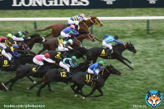 【東京11RキャピタルS 3歳以上オープンL 芝1600ｍ】 1着\u2463ララクリスティーヌ（菅原明） 2着\u246aトリプルエース 3着\u2470ノルカソルカ  スワンS２着のララクリスティーヌが混戦を制しました！  #JRA #ラジオ日本競馬