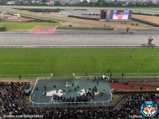 【勝利ジョッキーインタビュー】 石川裕紀人騎手！2回「ブラボー！」と大きな雄叫びがありました。