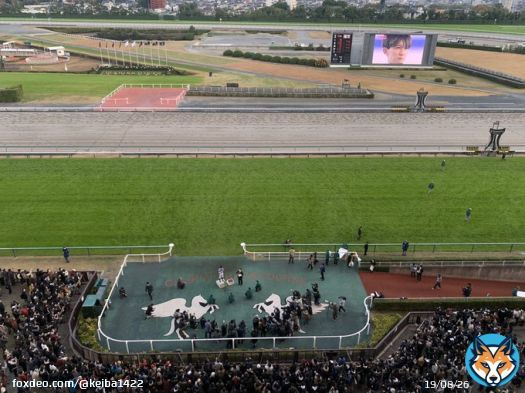 【勝利ジョッキーインタビュー】 石川裕紀人騎手！2回「ブラボー！」と大きな雄叫びがありました。