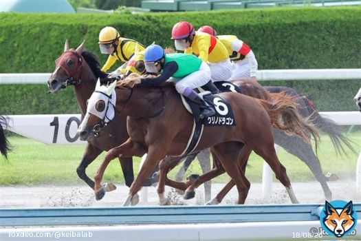 【浦和記念】 1着クリノドラゴン 武豊 2着ラーゴム 鮫島駿 3着アイオライト 菱田 道中外目から早めに進出したクリノドラゴンが差し切り1着！武豊騎手は19年JBCレディスクラシック以来の浦和で重賞制覇。 #競馬 #クリノドラゴン #武豊