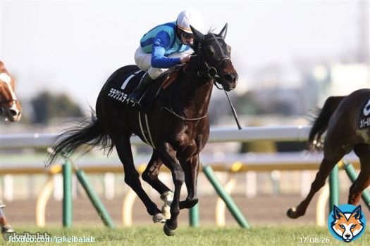 東京11R・キャピタルSはミッキーアイル産駒ララクリスティーヌが押し切り1着。2着は外から猛追したトリプルエース。 #競馬 #ララクリスティーヌ