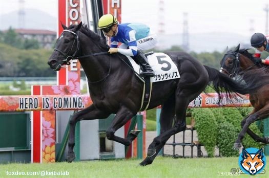 【偉大な兄姉の背を追って】 京都2歳Sに出走するグランヴィノスが勝てば、ハルーワスウィートの産駒から4頭目の重賞ウィナー誕生となります。ヴィルシーナ、シュヴァルグラン、ヴィブロスに続けるか注目です。 #競馬 #グランヴィノス #佐々木主浩
