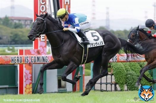 【偉大な兄姉の背を追って】 京都2歳Sに出走するグランヴィノスが勝てば、ハルーワスウィートの産駒から4頭目の重賞ウィナー誕生となります。ヴィルシーナ、シュヴァルグラン、ヴィブロスに続けるか注目です。 #競馬 #グランヴィノス #佐々木主浩