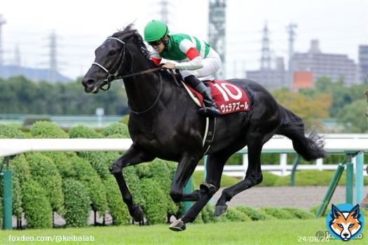 【ジャパンC】 1着ヴェラアズール ムーア 2着シャフリヤール C.デムーロ 3着ヴェルトライゼンデ レーン 直線内の狭いところから一気に差してきたヴェラアズールが3連勝でG1タイトル奪取！ #競馬 #ヴェラアズール