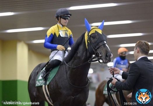 【23年ぶりの優勝】 きさらぎ賞&times;金子真人オーナー (2.5.0.4) 00年 1着 シルヴァコクピット 03年 2着 サイレントディール 04年 2着 ブラックタイド 20年 2着 ストーンリッジ  21年 2着 ヨーホーレイク 22年 2着 ダンテスヴュー 23年 1着 フリームファクシ #フリームファクシ
