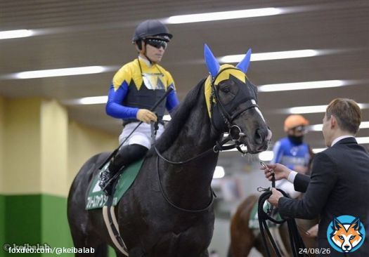 【23年ぶりの優勝】 きさらぎ賞&times;金子真人オーナー (2.5.0.4) 00年 1着 シルヴァコクピット 03年 2着 サイレントディール 04年 2着 ブラックタイド 20年 2着 ストーンリッジ  21年 2着 ヨーホーレイク 22年 2着 ダンテスヴュー 23年 1着 フリームファクシ #フリームファクシ