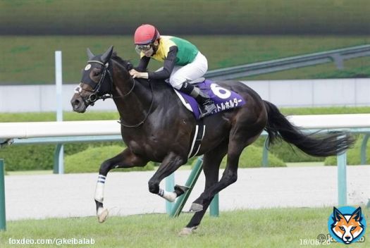 【先々まで注目のトライアル】 弥生賞 過去2年の連対馬 ・21年 1着タイトルホルダー(G1・3勝 2着シュネルマイスター(NHKマイルC) ・22年 1着アスクビクターモア(菊花賞) 2着ドウデュース(ダービー)  23年の連対馬は&hellip; #競馬 #弥生賞