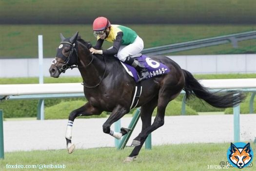 【先々まで注目のトライアル】 弥生賞 過去2年の連対馬 ・21年 1着タイトルホルダー(G1・3勝 2着シュネルマイスター(NHKマイルC) ・22年 1着アスクビクターモア(菊花賞) 2着ドウデュース(ダービー)  23年の連対馬は&hellip; #競馬 #弥生賞