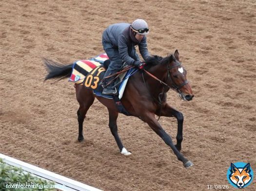 弥生賞 歴代勝ちタイムベスト5 <br>1. <br>59. 9 マカヒキ(ダービー馬) <br>2. <br>00. 1 ウイニングチケット(ダービー馬) <br>2. <br>00. 4 タスティエーラ <br>2. <br>00. 5 コスモバルク(皐月賞、JC2着等) <br>2. <br>00. 5 アドマイヤオーラ(ダービー3着) <br>2. <br>00. 5 アスクビクターモア(菊花賞馬) #タスティエーラ #弥生賞
