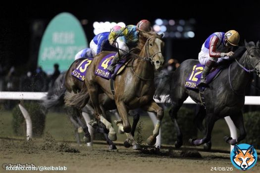 【3連勝、そして3度目の優勝へ】 01時05分発走予定 サウジダービー ダート1600m エコロアレス 福永祐一 コンティノアール 坂井瑠星 デルマソトガケ 松若風馬 フロムダスク 川田将雅 日本馬が勝てばサウジダービー通算3勝目。 #競馬 #サウジダービー