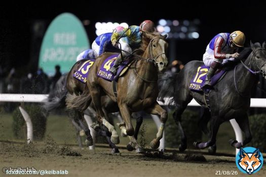 【3連勝、そして3度目の優勝へ】 01時05分発走予定 サウジダービー ダート1600m エコロアレス 福永祐一 コンティノアール 坂井瑠星 デルマソトガケ 松若風馬 フロムダスク 川田将雅 日本馬が勝てばサウジダービー通算3勝目。 #競馬 #サウジダービー