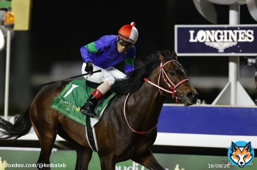 今夜のスケジュール(日本時間) 21:05 ゴドルフィンマイル(日本馬3頭) 22:50 UAEダービー(日本馬5頭) 23:25 ドバイゴールデンシャヒーン(日本馬4頭) 00:10 ドバイターフ(日本馬3頭) 01:00 ドバイシーマクラシック(日本馬3頭) 01:35 ドバイワールドカップ(日本馬8頭)